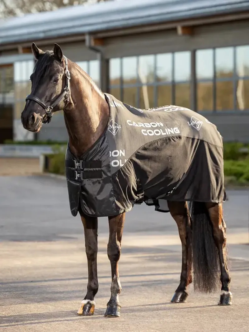 LeMieux Carbon Cooler Rug in Black-2