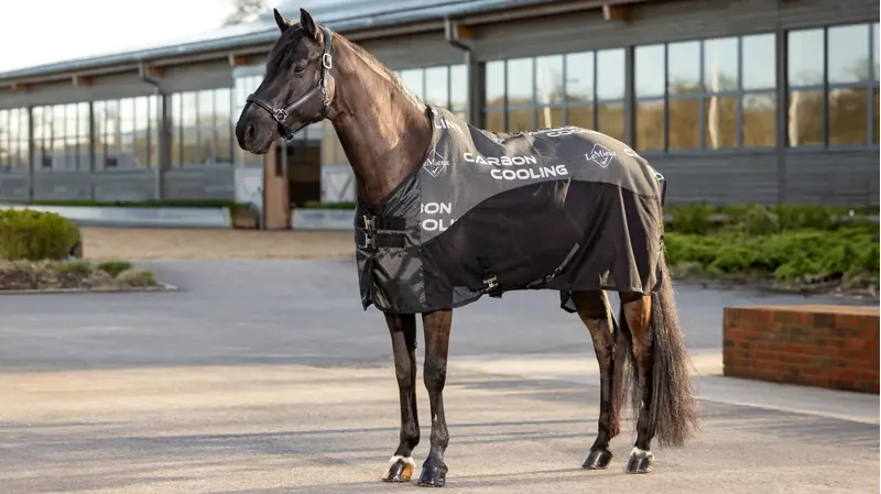 LeMieux Carbon Cooler Rug in Black