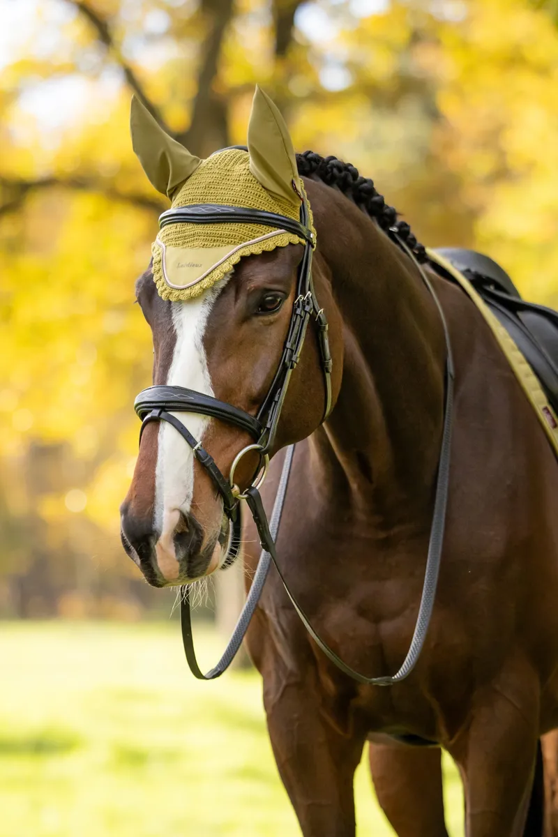 LeMieux Classic Fly Hood in Gooseberry-1
