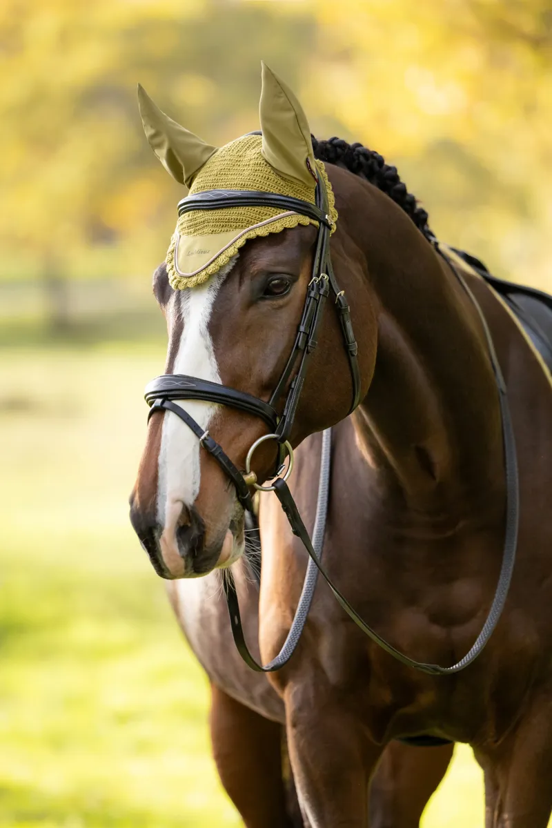 LeMieux Classic Fly Hood in Gooseberry-3