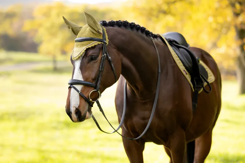 LeMieux Classic Fly Hood in Gooseberry-2