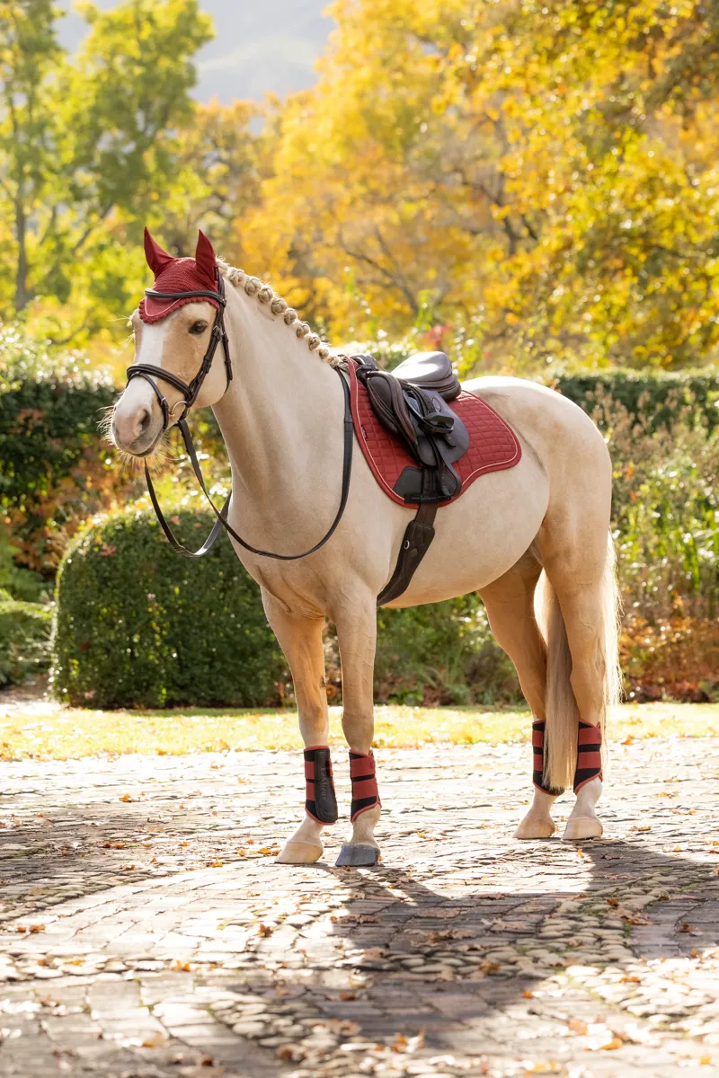 LeMieux Classic Fly Hood in Russet-3