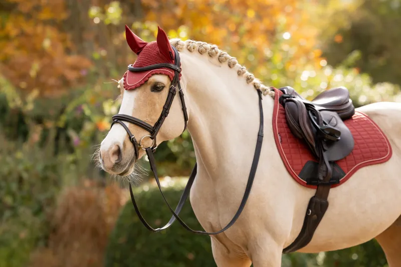 LeMieux Classic Fly Hood in Russet-1