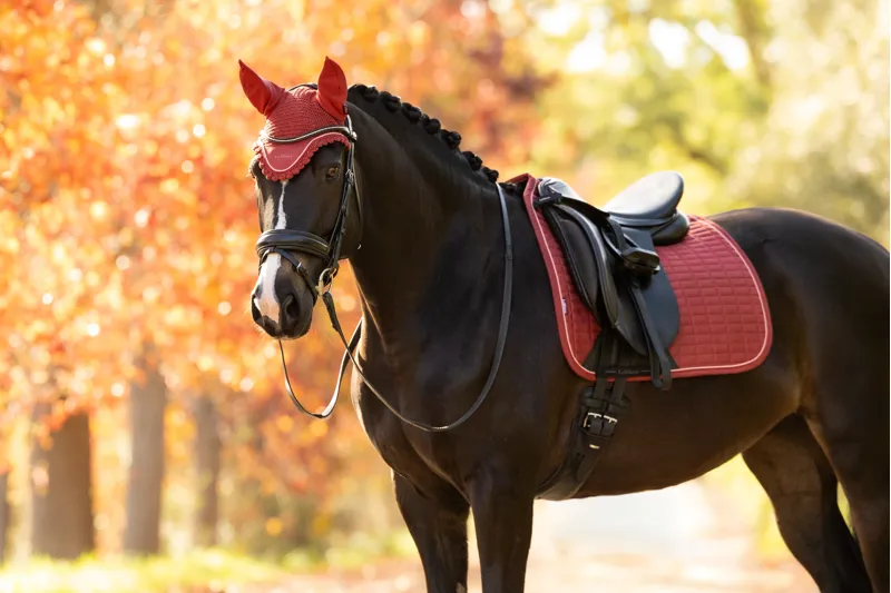 LeMieux Classic Fly Hood in Russet-2
