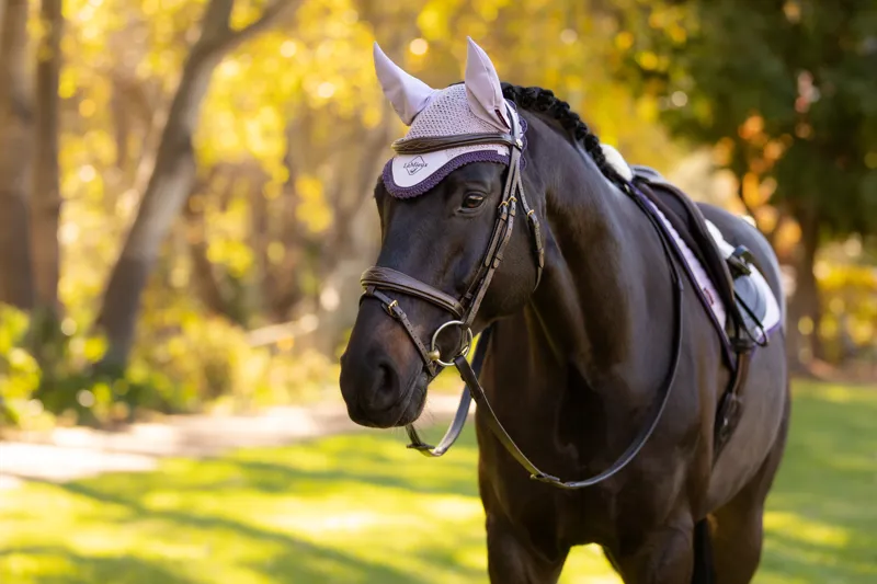 LeMieux Classic Fly Hood in Lilac-7