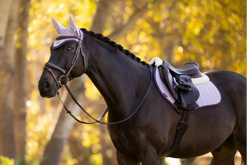 LeMieux Classic Fly Hood in Lilac-8