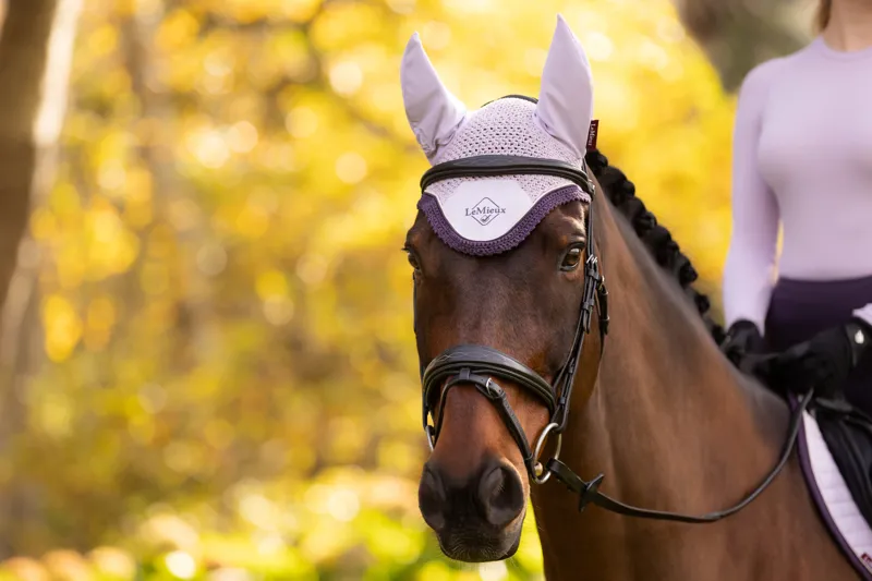 LeMieux Classic Fly Hood in Lilac-2