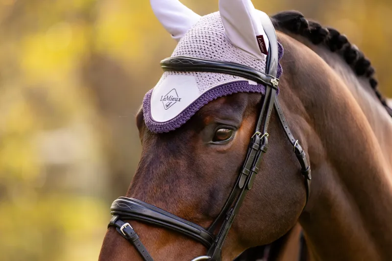 LeMieux Classic Fly Hood in Lilac-1