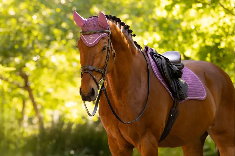 LeMieux Classic Fly Hood in Mallow-4