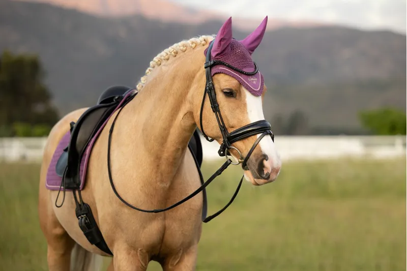 LeMieux Classic Fly Hood in Mallow-1