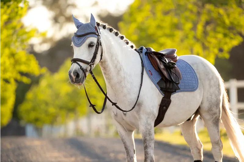 LeMieux Classic Fly Hood in Powder Blue-2