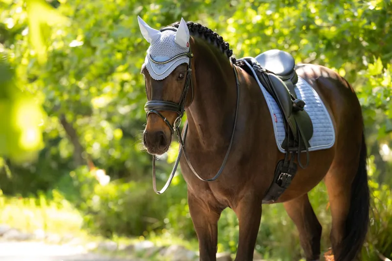 LeMieux Classic Fly Hood in Powder Blue-1