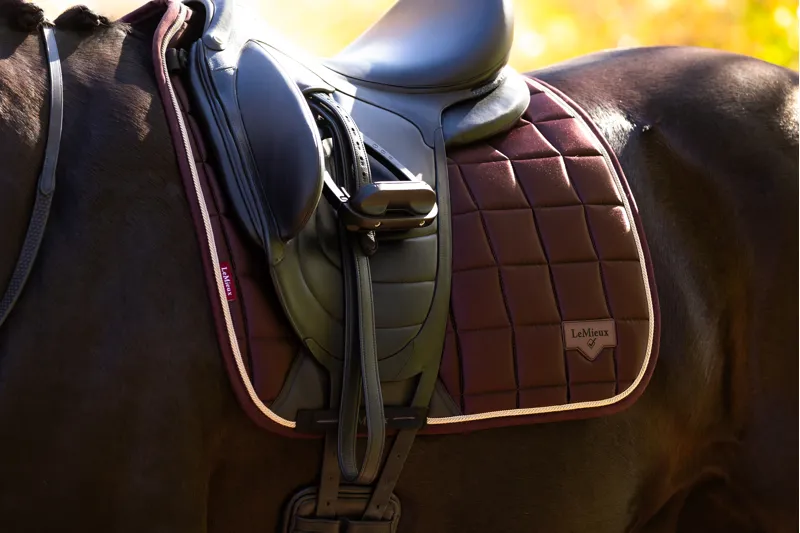 LeMieux Loire Classic Dressage Square in Juniper-7