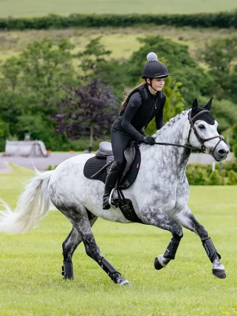 LeMieux Classic Suede GP Pad in Black-1