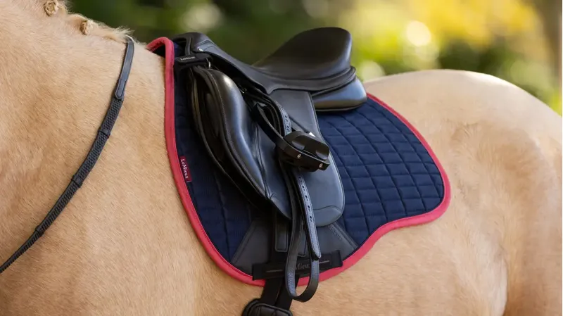 LeMieux Classic Suede GP Square in Navy and Cranberry-2