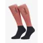 LeMieux Competition Socks Unisex in Cranberry