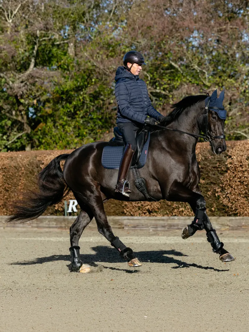 LeMieux Cotton Dressage Square Plain D-Ring in Navy-1