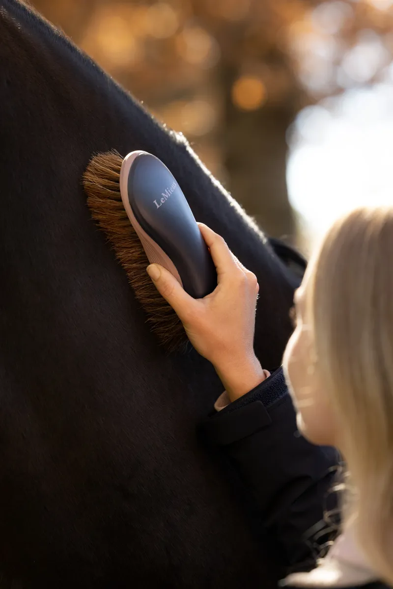 LeMieux Dandy Brush in Navy-2