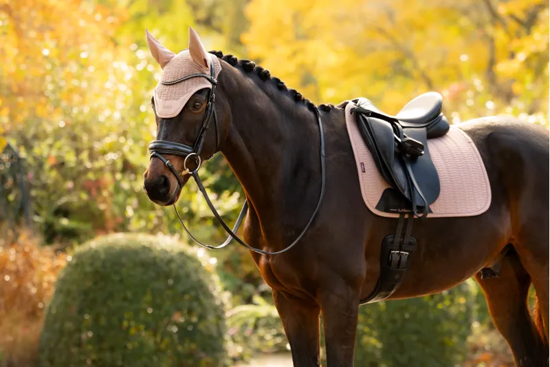 LeMieux Essence Fly Hood in Wild Rose-1