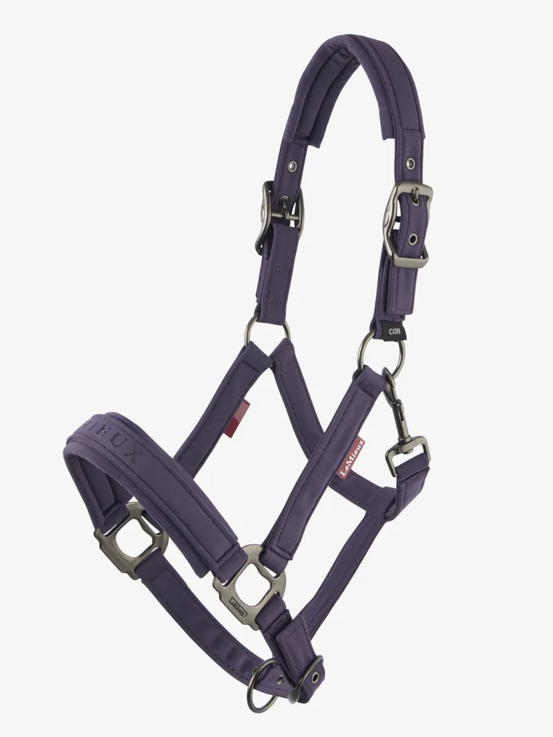 LeMieux Essence Headcollar in Juniper