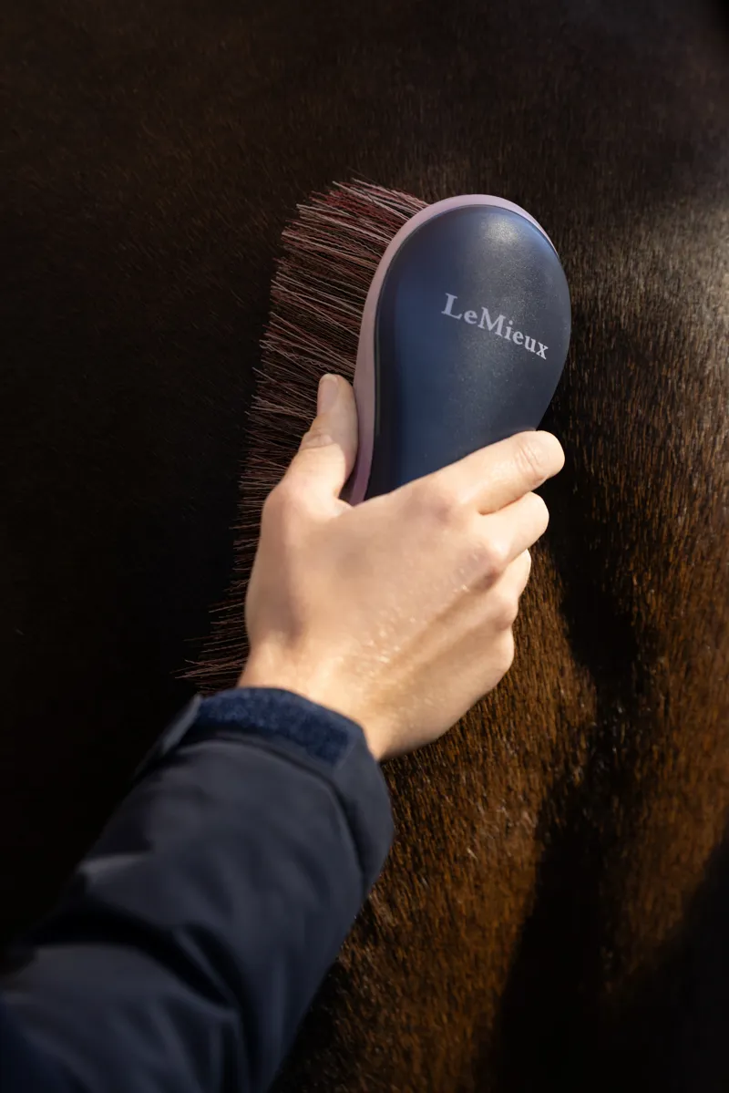 LeMieux Flicky Brush in Navy-2
