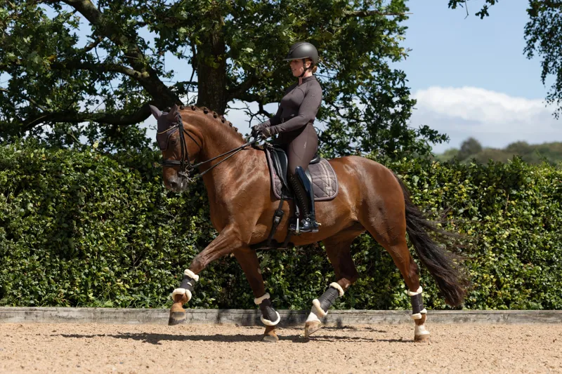 LeMieux Heritage Check Dressage Square in Cocoa-6
