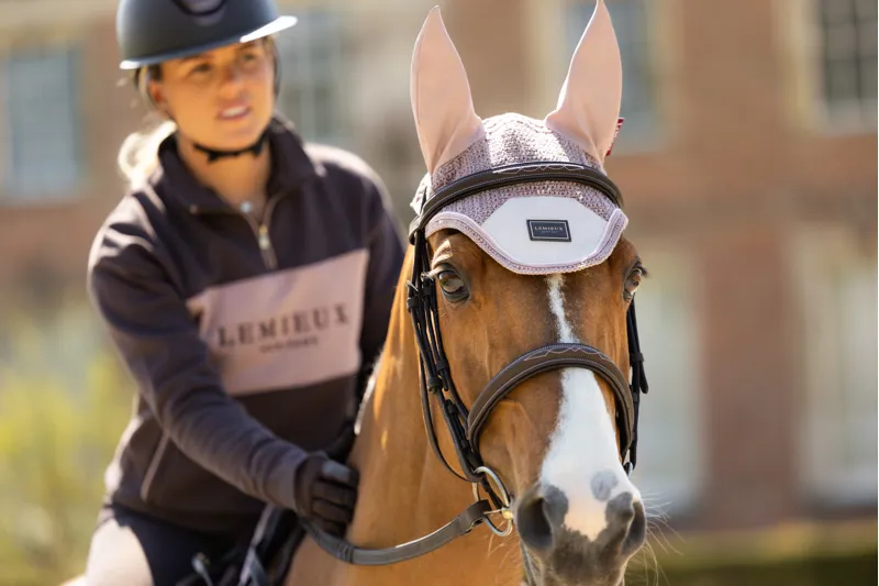 LeMieux Heritage Fly Hood in Wild Rose-1