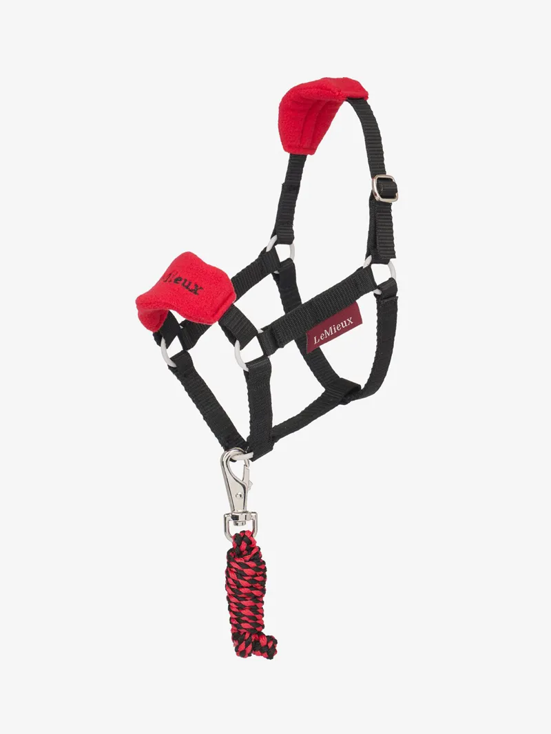 Licol Mixte LeMieux Vogue Fleece Headcollar & Rope - Confort Premium Pour Chevaux
