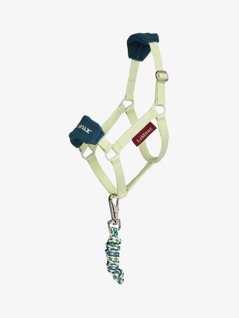 LeMieux Hobby Horse Vogue Headcollar Set in Macaron