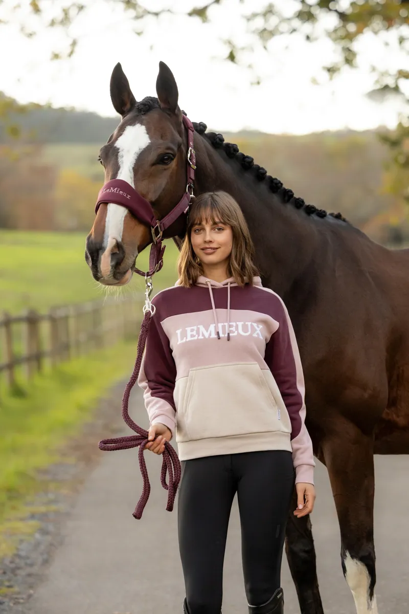 LeMieux Kadie Colour Block Hoodie Ladies in Wild Rose-4