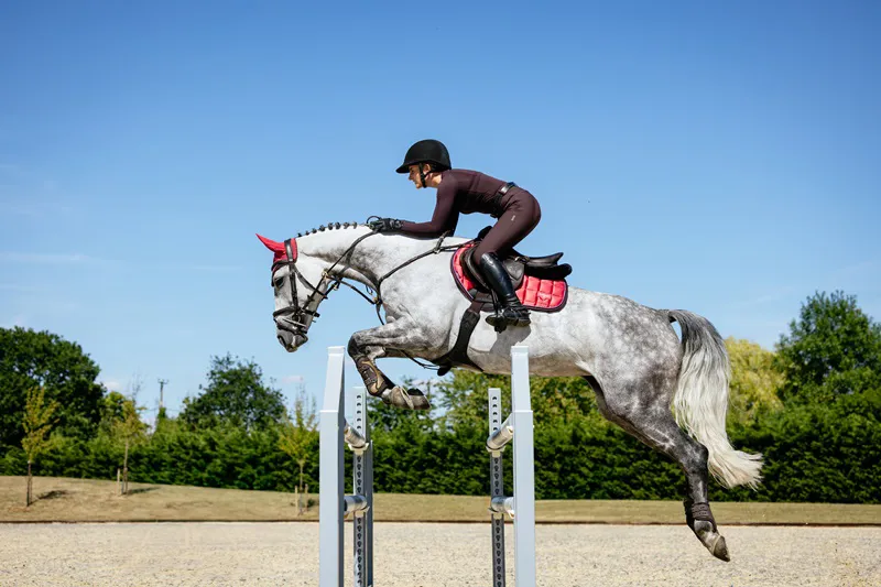 LeMieux Loire Classic Close Contact Square in Cranberry-5