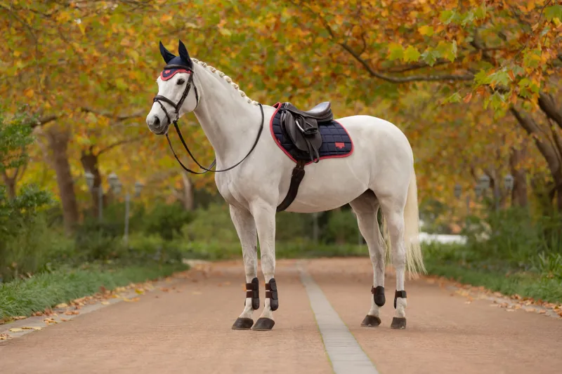 LeMieux Loire Classic Close Contact Square in Navy and Cranberry-2