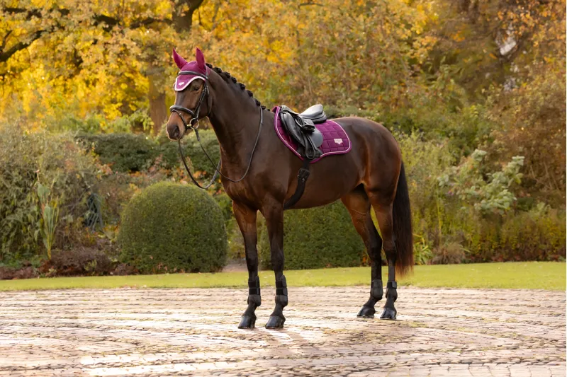 LeMieux Loire Classic Close Contact Saddle Pad in Blackberry-4