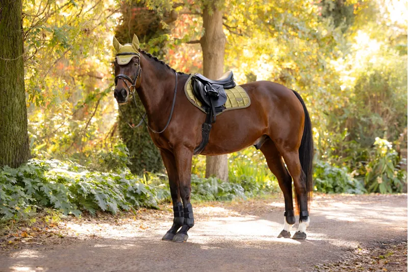 LeMieux Loire Classic Close Contact Saddle Pad in Gooseberry-2