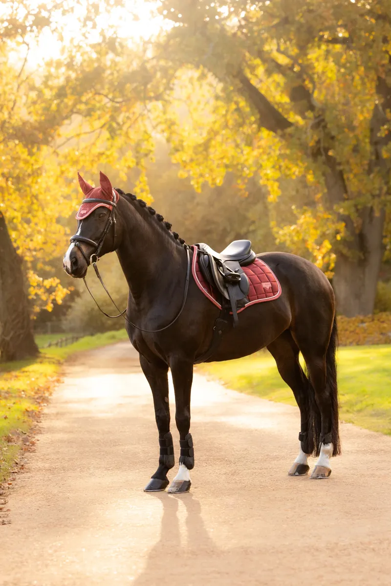 LeMieux Loire Classic Close Contact Saddle Pad in Russet-4
