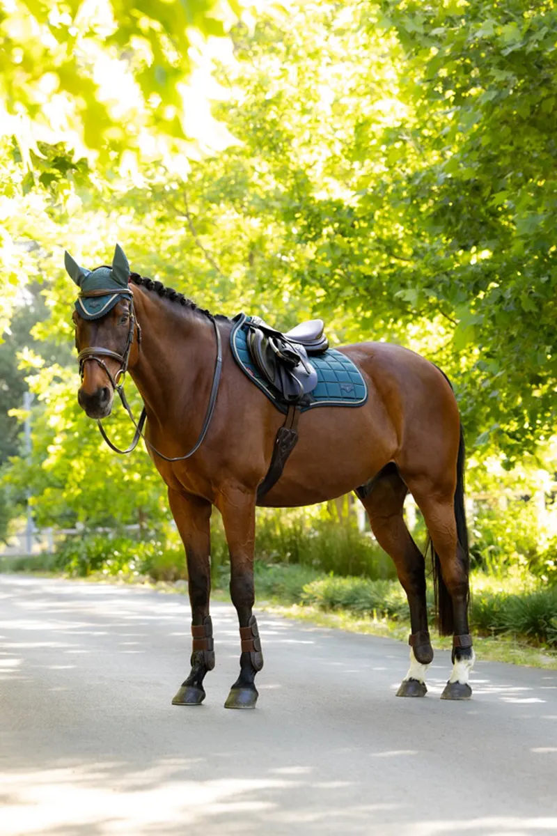 LeMieux Loire Classic Close Contact Square in Jungle-3