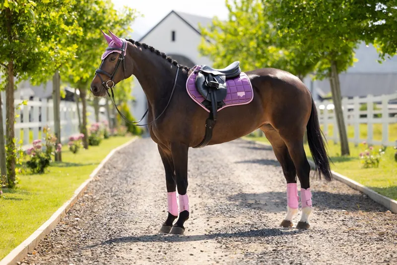 LeMieux Loire Classic Close Contact Square in Mallow-1