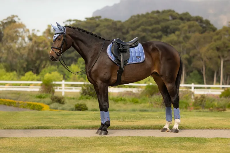 LeMieux Loire Classic Close Contact Square in Powder Blue-3