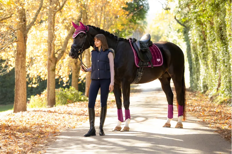 LeMieux Loire Classic Dressage Square in Blackberry-2