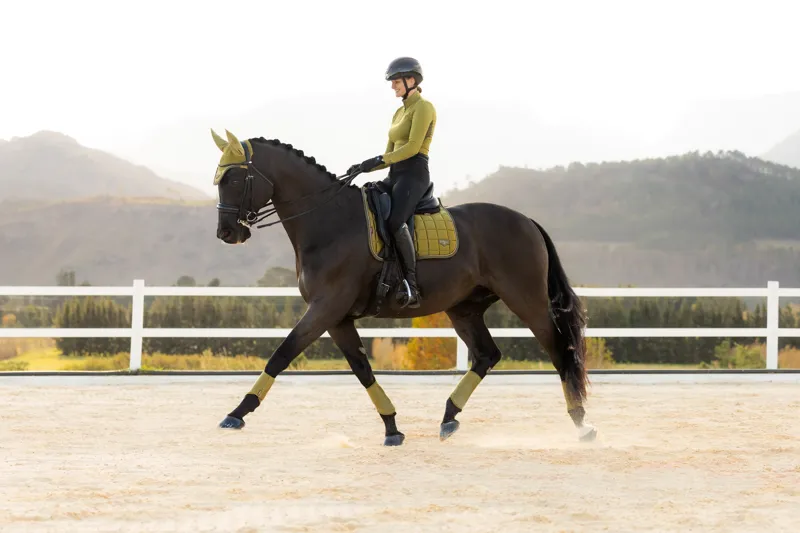 LeMieux Loire Classic Dressage Square in Gooseberry-4