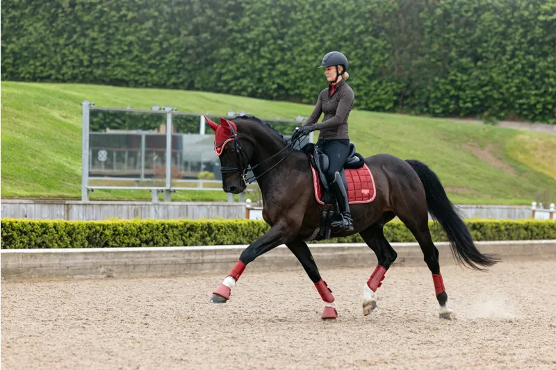 LeMieux Loire Classic Dressage Square in Russet-2