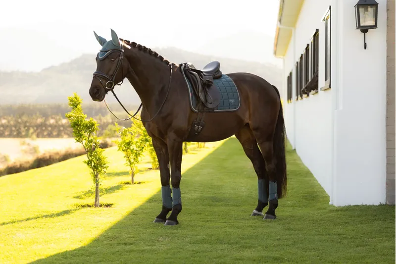 LeMieux Loire Classic Dressage Square in Jungle-2