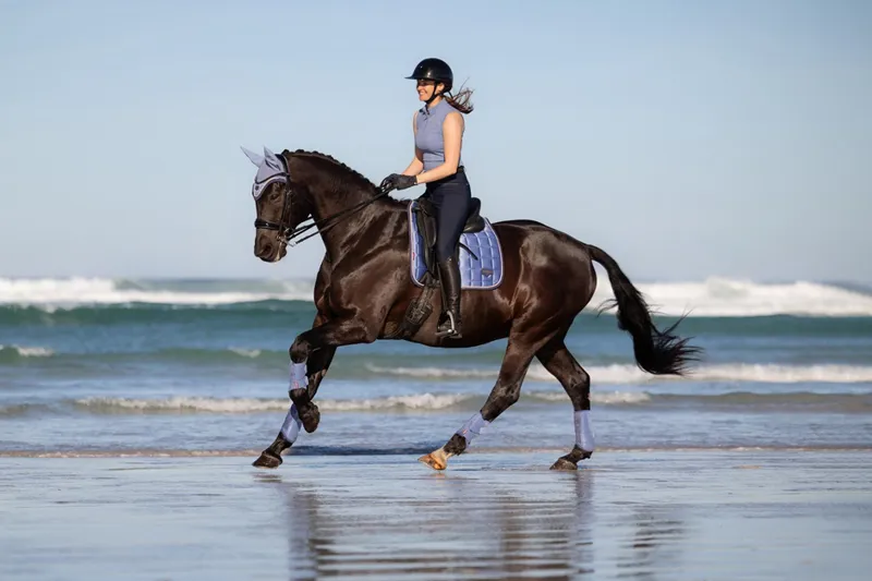 LeMieux Loire Classic Dressage Square in Powder Blue-3