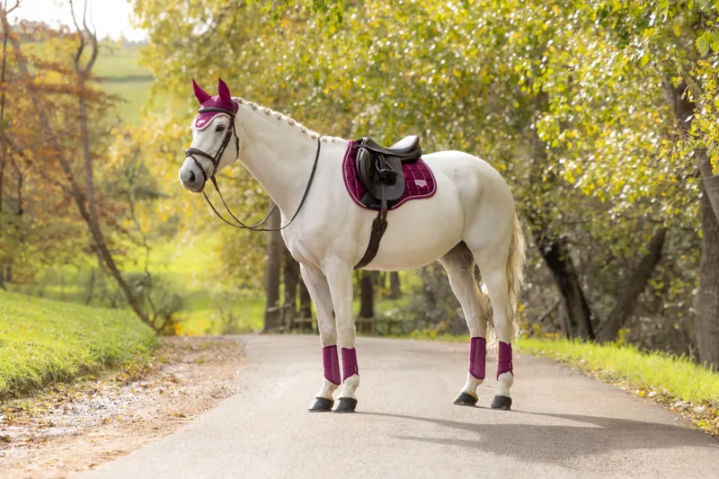 LeMieux Loire Classic GP Saddle Pad in Blackberry-3