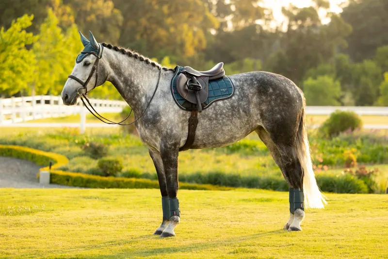 LeMieux Loire Classic GP Square in Jungle-2