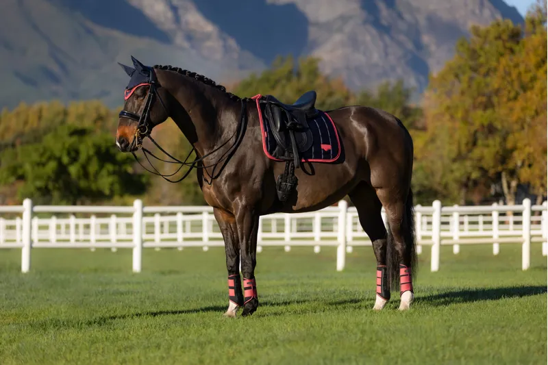 LeMieux Loire Classic Dressage Square in Navy and Cranberry-5