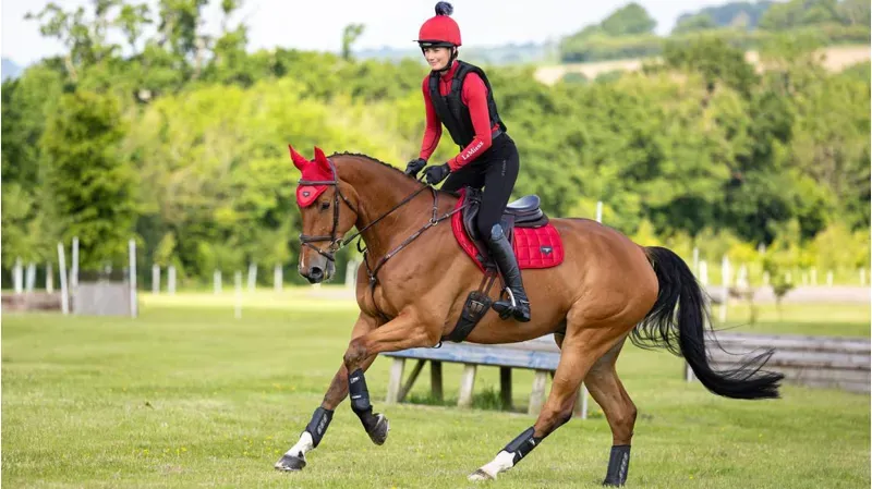LeMieux Loire Close Contact Pad in Chilli-3