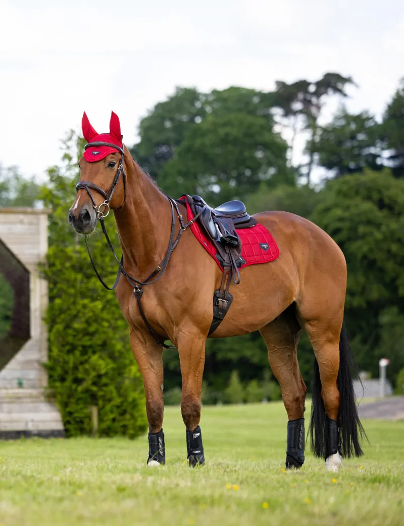 LeMieux Loire Close Contact Pad in Chilli-5