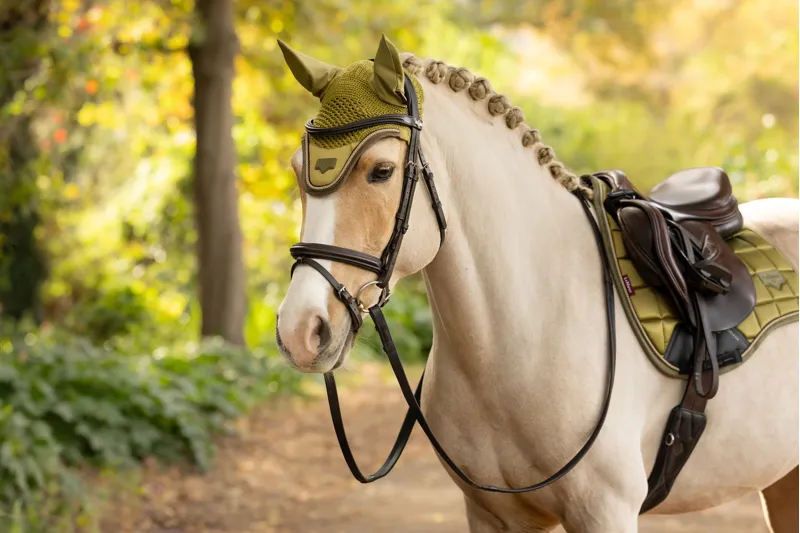 LeMieux Loire Fly Hood in Gooseberry-2
