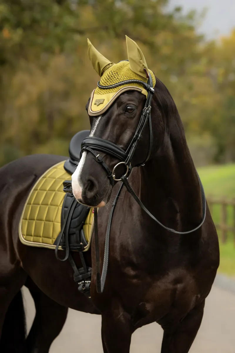 LeMieux Loire Fly Hood in Gooseberry-1